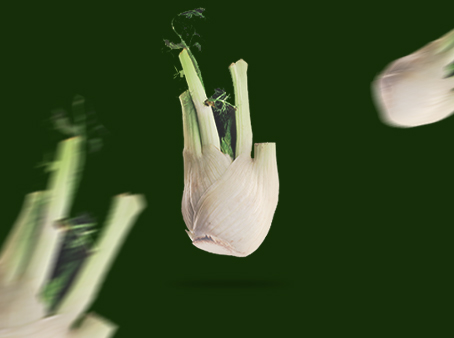 Finocchio