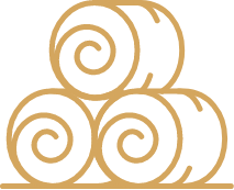 Produzione certificata BIO