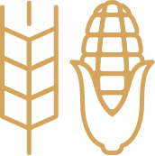 Certificazioni qualità, sicurezza