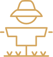 Innovazione agricola