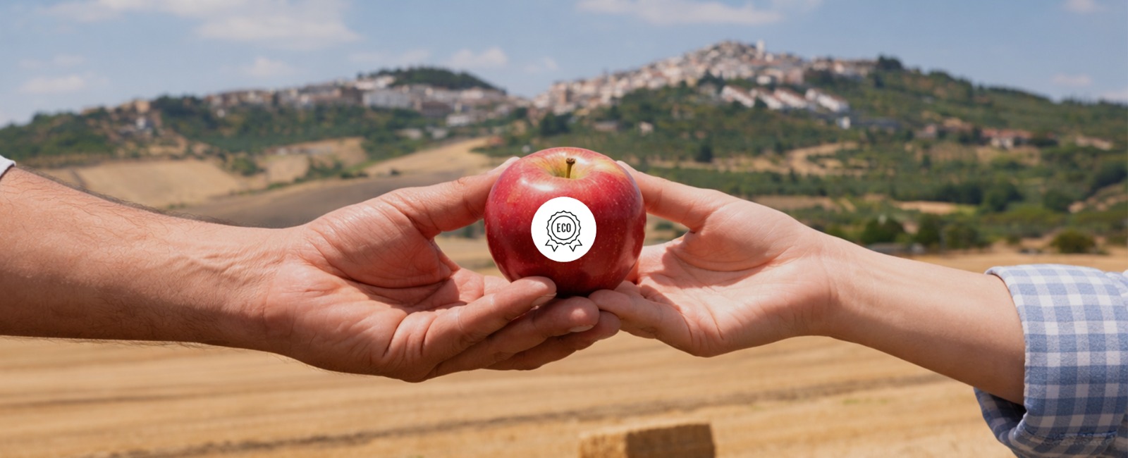 Due mani che sostengono una mela nei campi di Candela