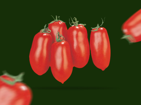 Pomodoro da industria