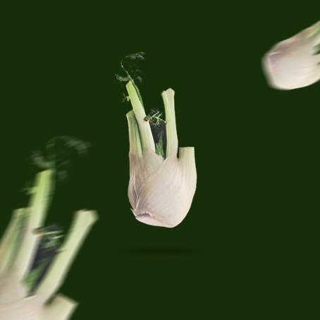 Finocchio