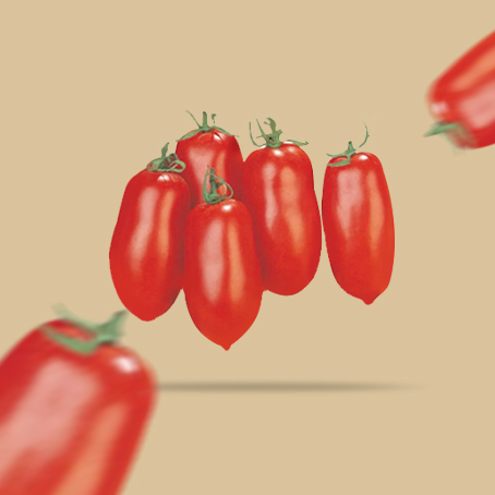 Pomodoro industriale